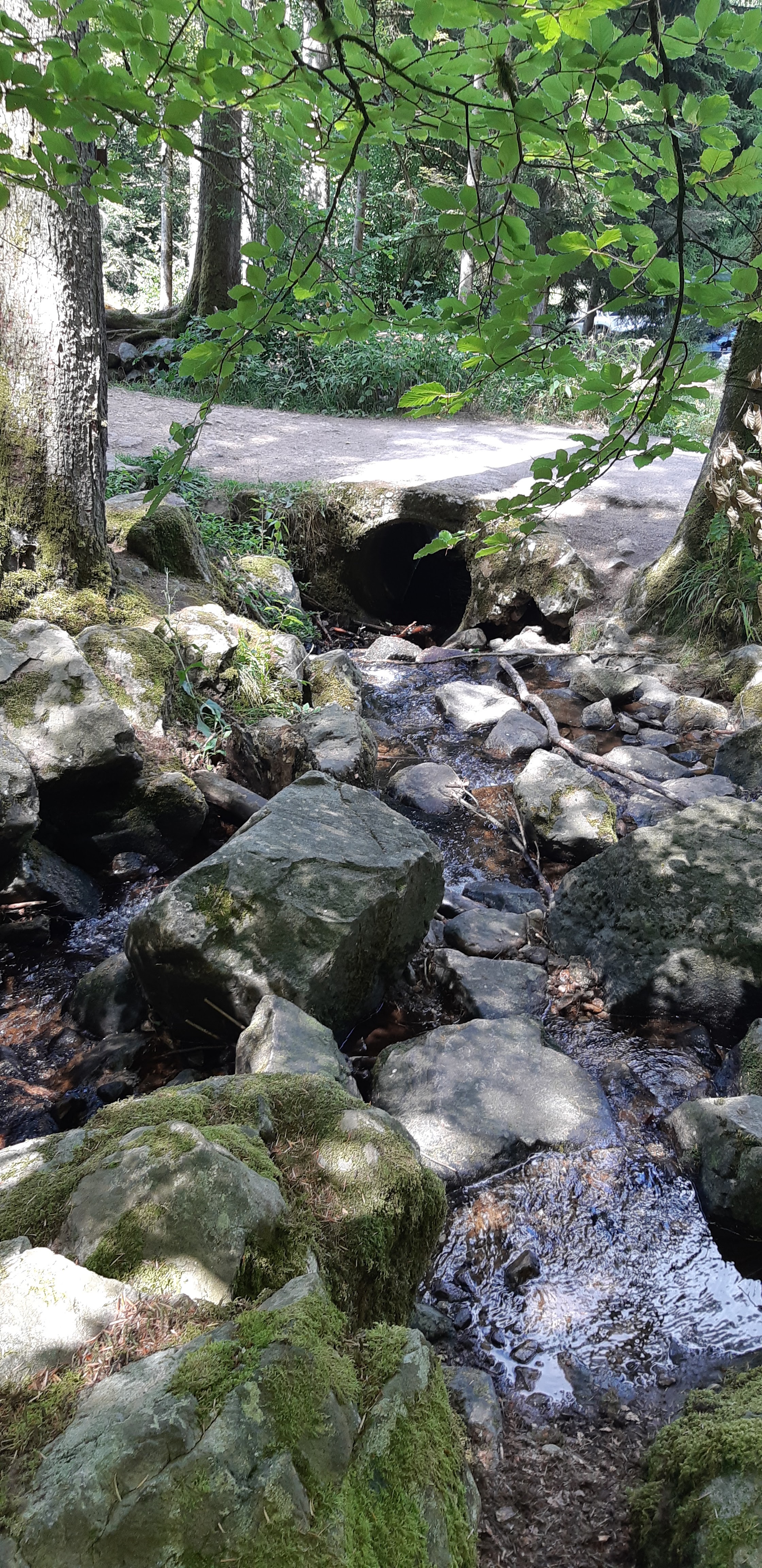 Photo n° 2 de l'avis de Anthony. fait le 03/08/2019 à 16:00