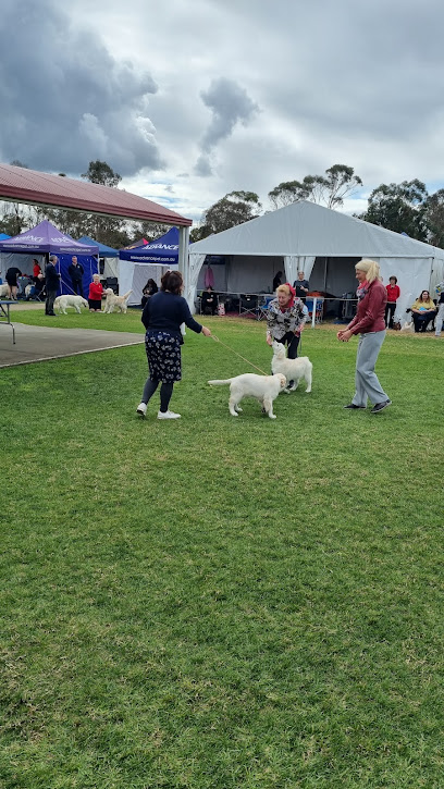 DOGS NSW