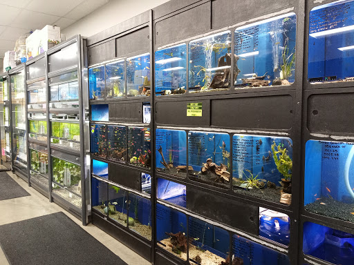 Pet Store «Carters Pet Mart», reviews and photos, 510 N Main St, Manteca, CA 95336, USA