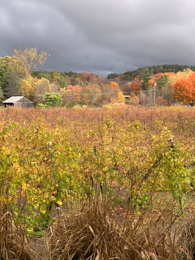 Winery «Fulchino Vineyard», reviews and photos, 187 Pine Hill Rd, Hollis, NH 03049, USA