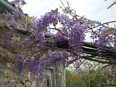 Fms à Saint-Martin-Lacaussade