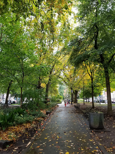 Park «South Park Blocks», reviews and photos, SW Park Ave, Portland, OR 97204, USA