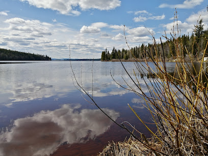 Dahl Lake Provincial Park