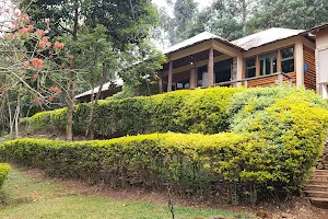 Bwindi Forest Lodge image