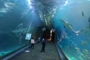 Adventure Aquarium image