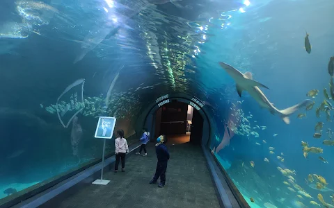 Adventure Aquarium image