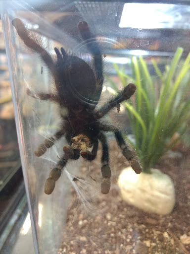 Pet Supply Store «PetSmart», reviews and photos, 1070 Iyannough Rd, Hyannis, MA 02601, USA