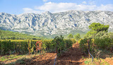 Domaine Richeaume Provence Montagne Sainte Victoire Puyloubier