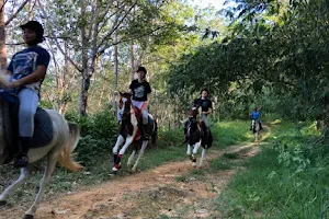 Phuket Horse Riding image