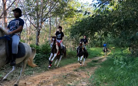 Phuket Horse Riding image