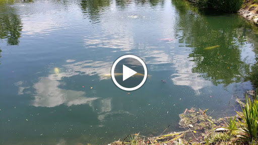 Park «Bridgeport Park», reviews and photos, 23520 Bridgeport Ln, Santa Clarita, CA 91355, USA