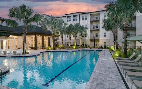 The Avery Orlando Apartments image