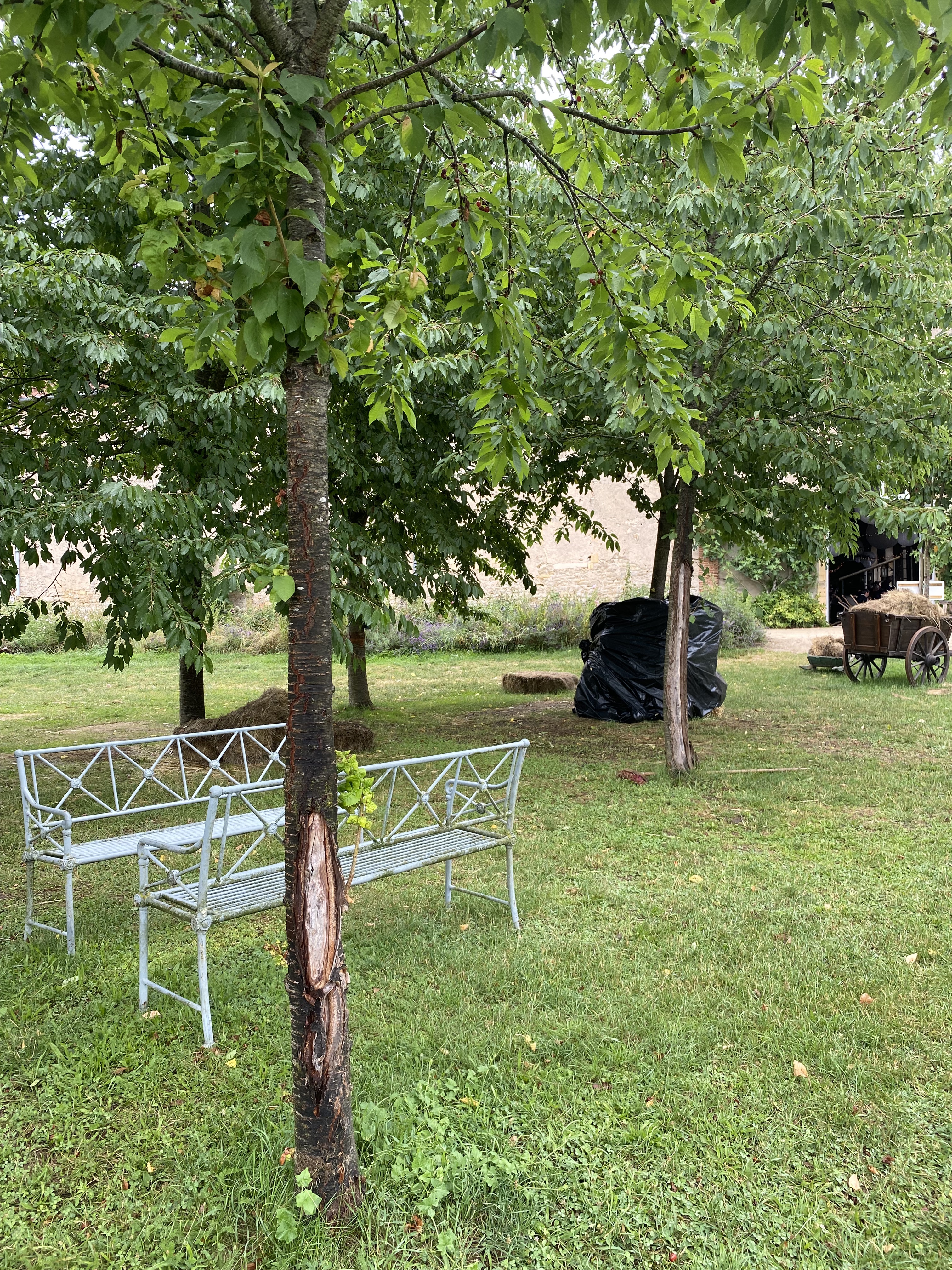 Photo n° 6 de l'avis de MARIE.O fait le 12/07/2022 à 12:25