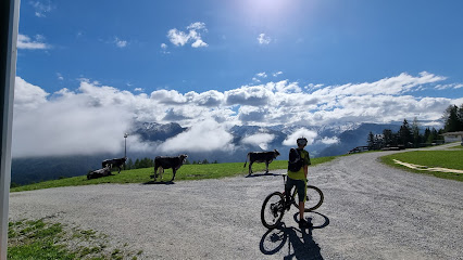 Bikepark Tirol