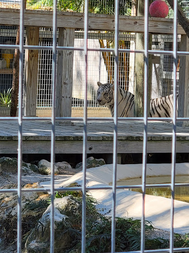 Animal Rescue Service «McCarthys Wildlife Sanctuary», reviews and photos, 12943 61st St N, West Palm Beach, FL 33412, USA