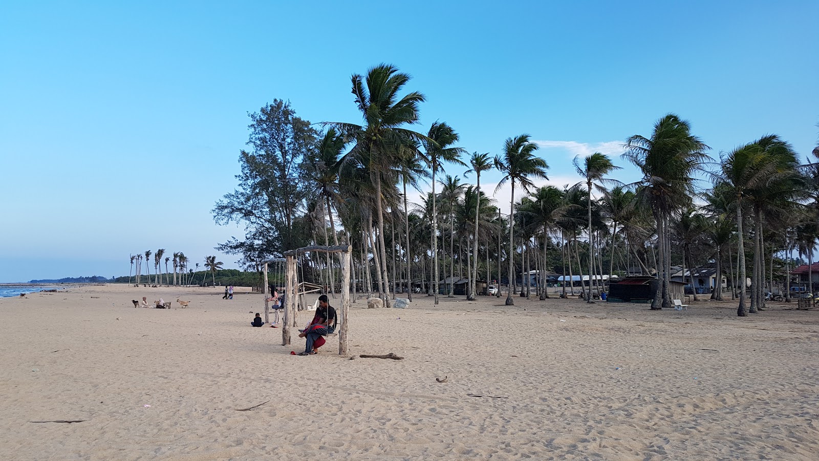 Pulau Panjang Beach'in fotoğrafı vahşi alan