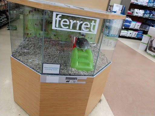 Pet Supply Store «Petco Animal Supplies», reviews and photos, 710 Franklin Ave, Franklin Square, NY 11010, USA