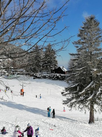 Photo n° 3 de l'avis de kowolik.a fait le 10/01/2021 à 21:49