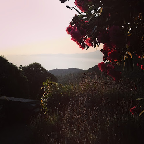 Le Panoramique à Coti-Chiavari