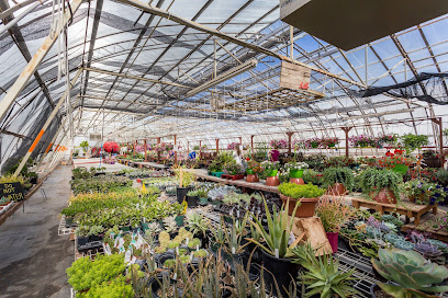 Rehoboth Garden Centre & Wood Products