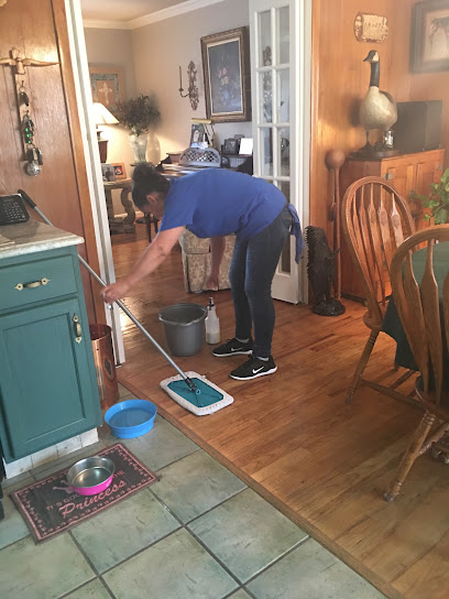 The Cleaning Authority - Fort Worth