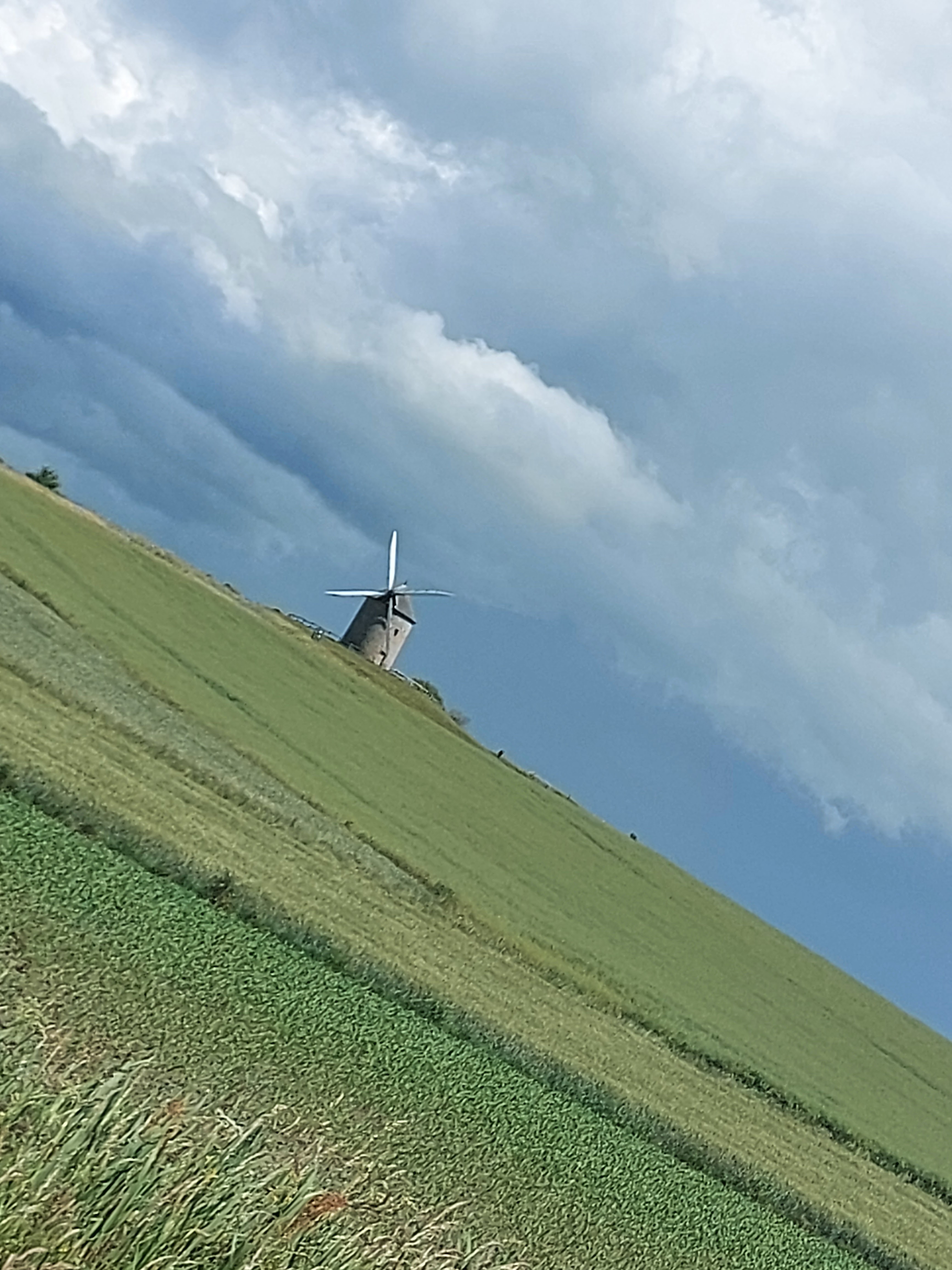 Photo n° 3 de l'avis de GRONDIN.L fait le 25/05/2022 à 20:26