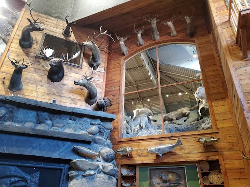 Sporting Goods Store «Bass Pro Shops», reviews and photos, 1356 Bass Pro Dr, Manteca, CA 95337, USA