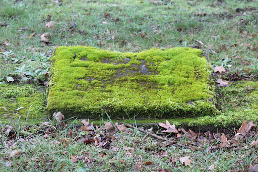 Auto Repair Shop «Meineke Car Care Center», reviews and photos, 3635 SE 82nd Ave, Portland, OR 97266, USA