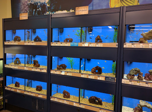 Pet Supply Store «Petco Animal Supplies», reviews and photos, 226 Thornton Drive, Dickson, TN 37055, USA