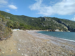 Foto von Pigbok beach befindet sich in natürlicher umgebung