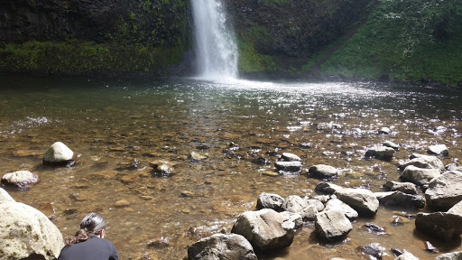 Waterfall «Horsetail Falls», reviews and photos, Historic Columbia River Hwy, Cascade Locks, OR 97014, USA