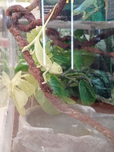 Pet Supply Store «Petco Animal Supplies», reviews and photos, 5631 Grove Blvd, Hoover, AL 35226, USA