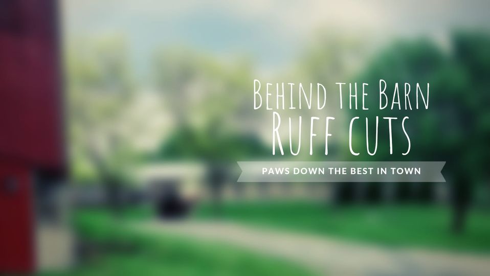 Behind the Barn Ruff Cuts