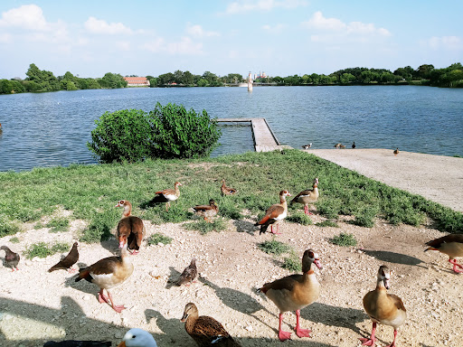 Park «Woodlawn Lake Park», reviews and photos, 1103 Cincinnati Ave, San Antonio, TX 78201, USA