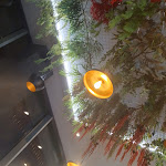 Photo n°11 de l'avis de Roberto.a fait le 14/12/2023 à 07:26 sur le  Pasticceria KALUA à Pontedera