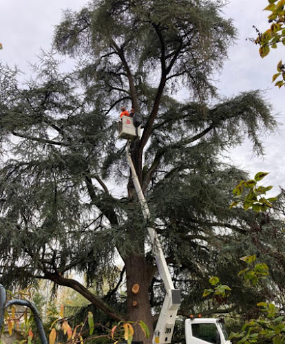 Opinii despre S.A. Élagage în Tours - Paysagiste