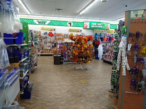 Dollar Store «Dollar Tree», reviews and photos, 5260 Randolph Rd, Rockville, MD 20852, USA