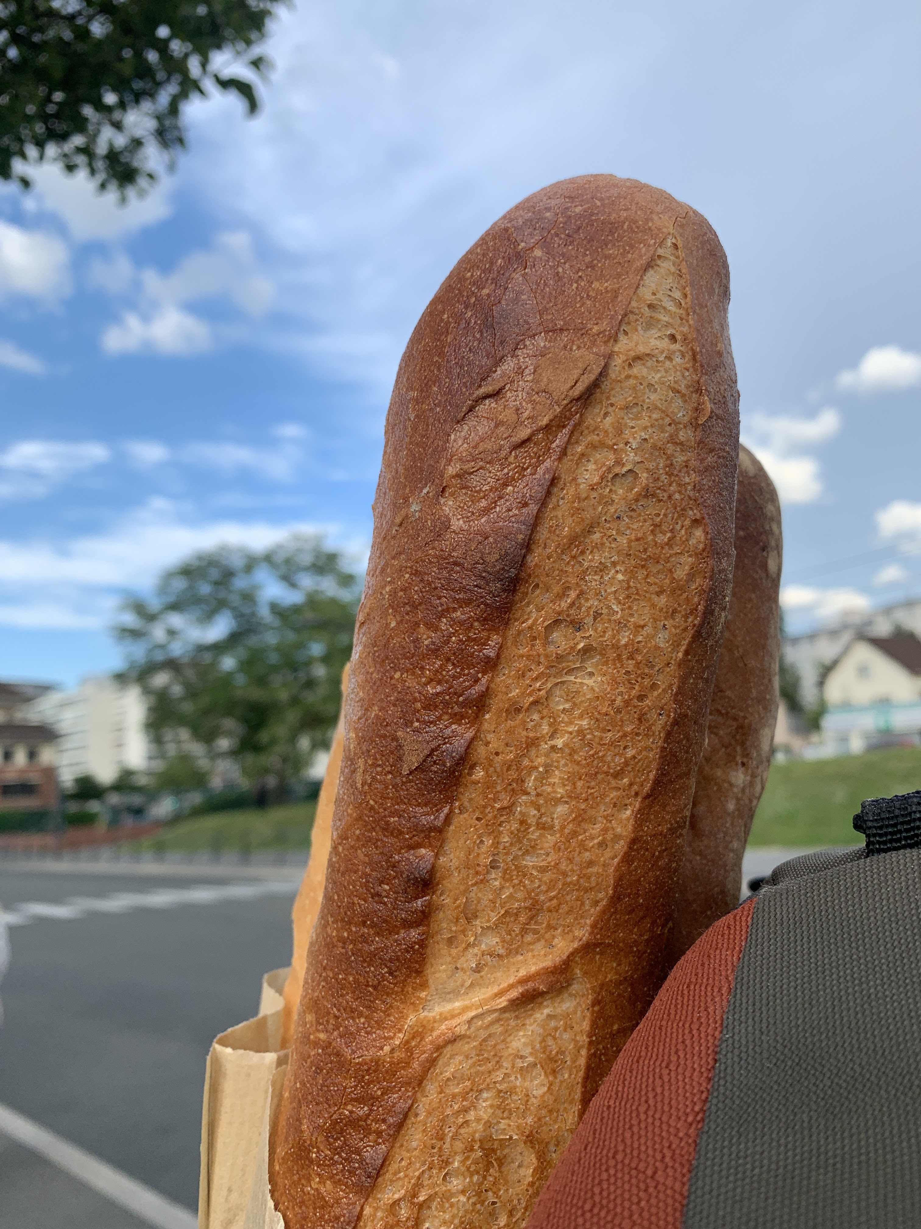 Photo n° 1 de l'avis de Alexandre.o fait le 29/05/2021 à 18:18