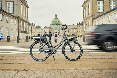 Copenhagen E-Bike Tours & Rentals