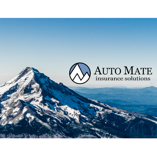 Insurance Agency «Auto Mate Insurance Solutions», reviews and photos