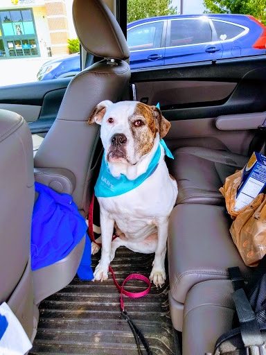 Pet Supply Store «PetSmart», reviews and photos, 299 Loudon Rd, Concord, NH 03301, USA