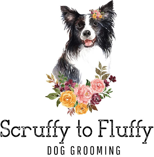 Scruffy to Fluffy Dog Grooming - Pet Groomer in Radcliff