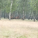 Photo n° 1 de l'avis de Daniel.e fait le 14/07/2021 à 19:45 pour Espace Rambouillet à Sonchamp