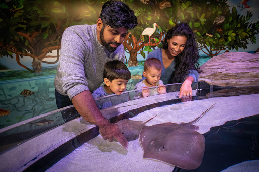 Aquarium «Aquarium of Niagara», reviews and photos, 701 Whirlpool St, Niagara Falls, NY 14301, USA