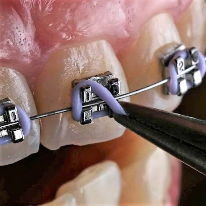 Dental_mp