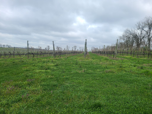 Winery «Loew Vineyards», reviews and photos, 14001 Liberty Rd, Mt Airy, MD 21771, USA