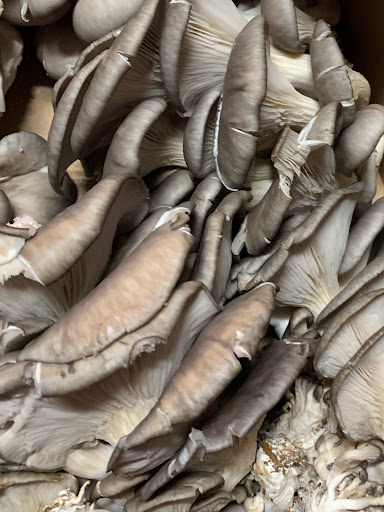 Grocery Store «Asian Market», reviews and photos, 1043 Pedigo Way # 8, Bowling Green, KY 42103, USA