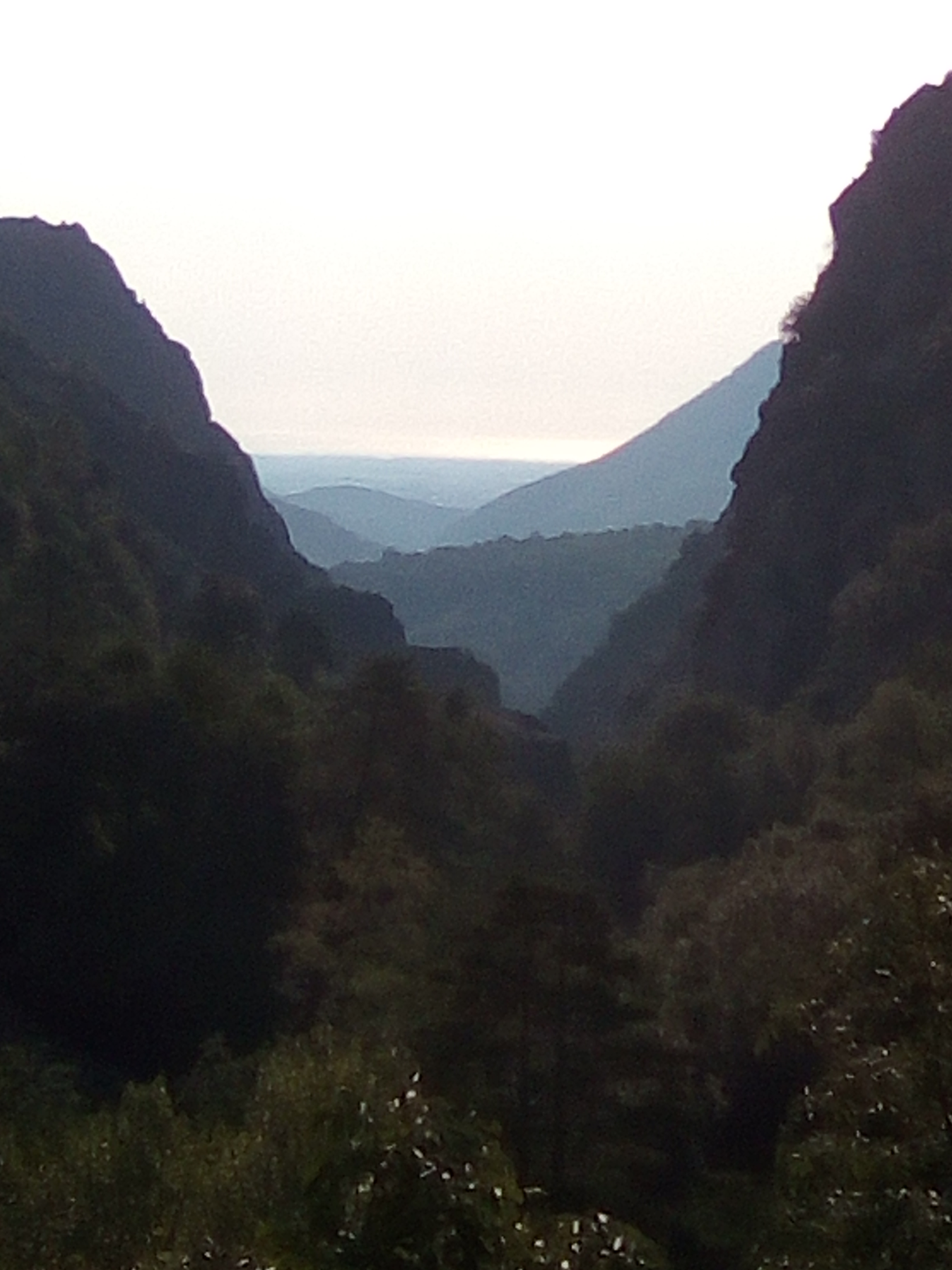 Photo n° 3 de l'avis de Magicien. fait le 22/08/2018 à 07:34