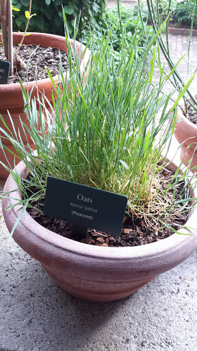 Art Museum «The Cloisters», reviews and photos, 99 Margaret Corbin Dr, New York, NY 10040, USA