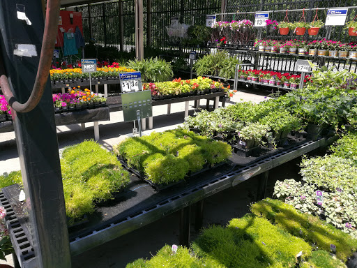 Department Store «Walmart Supercenter», reviews and photos, 333 Main St, Tewksbury, MA 01876, USA